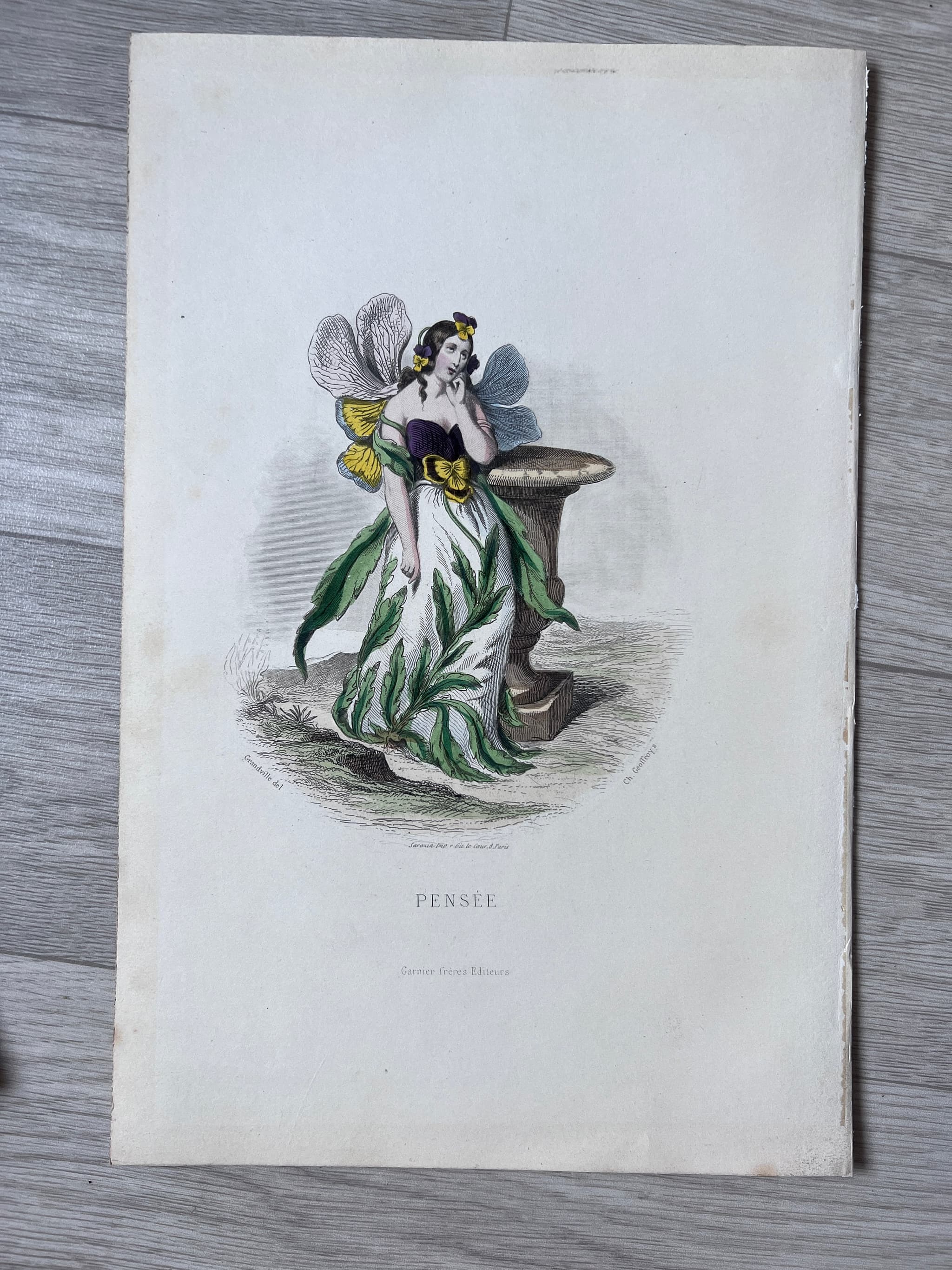 Antique Botanical Costume Illustration "Pensée" Pansy-Inspired Dress 19th image 2