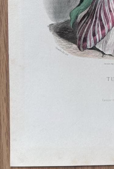 Antique Fashion Engraving - "Tulipe" Exotic Costume Print - 19th Century French image 7