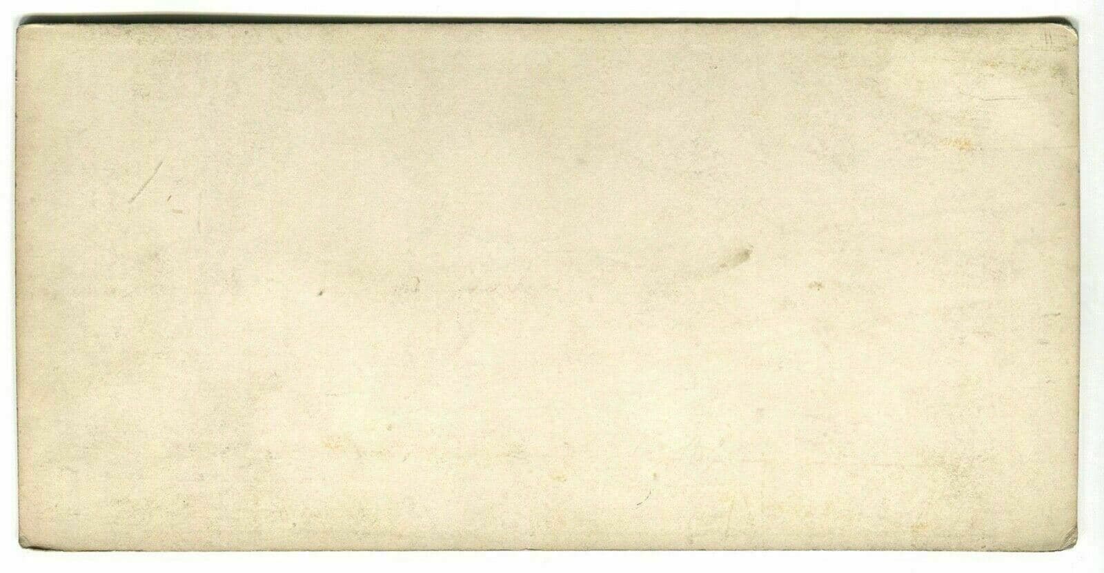 Vintage Stereoview SAVIOZ - Montenvers and Dru Landscape c. 1870 image 5