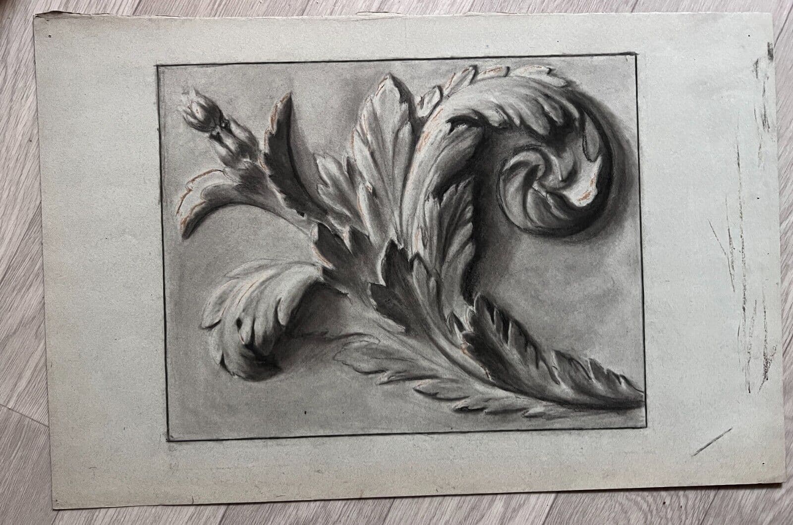 Antique Drawing Charcoal Original Flowers, Floral, Plant Floral image 5