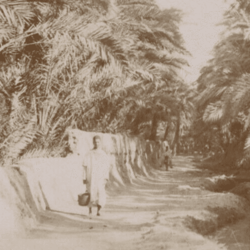 Vintage Photographs Orientalism, Africa, Algeria, Constantine Landscape image 4