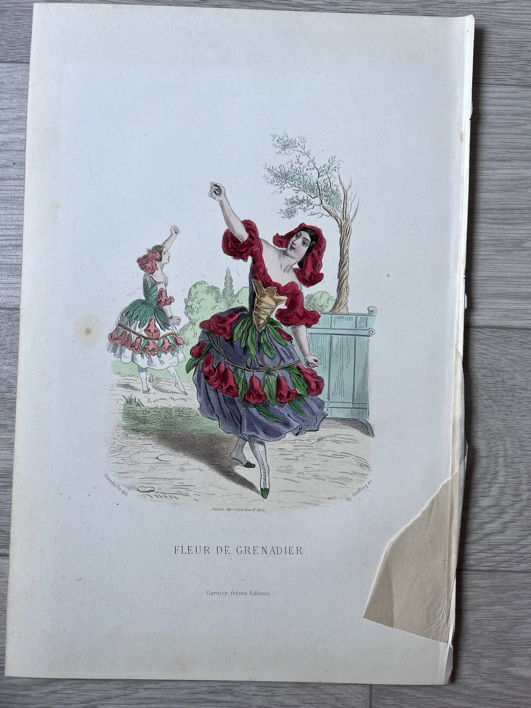 Romantic Vintage Botanical Illustration Pomegranate by Jean Ignace Isidore image 2