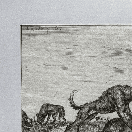 Antique Engraving Original Adriaen Van de Velde (1636-1672) Dogs Fighting image 2