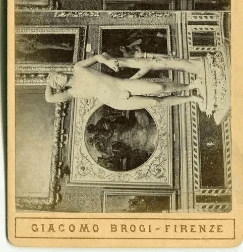 Vintage Stereoview Giacomo BROGI - Florence Apollino Tribuna Uffizi c 1870 image 3