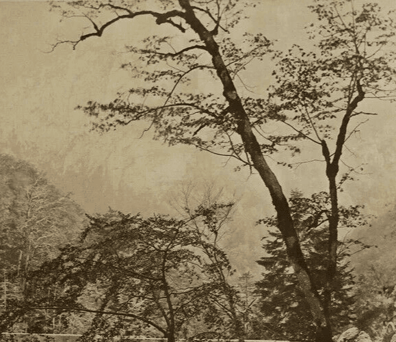 Vintage Photographs ALPHONSE DAVANNE Uriage-les-Baines Albumen c.1870 image 3