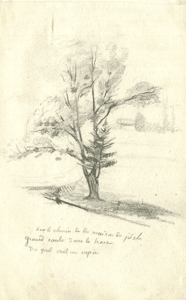 Vintage Pencil Original Drawing of Fir, Willow Trees x2 image 2