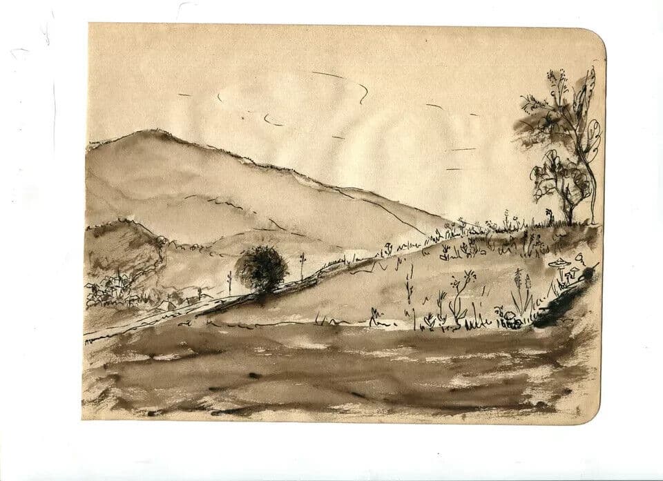 Vintage Ink Original Drawing Mountain landscape with Trees image 4