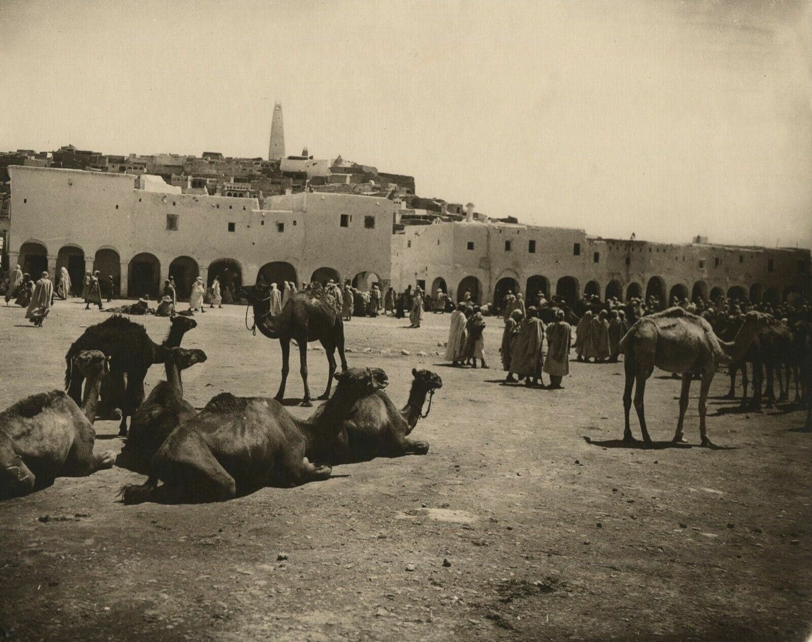 Vintage Photographs R.PROUHO - Gardaiah, Mzab Market, Algeria c. 1910 image 1