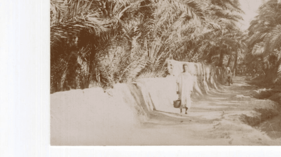 Vintage Photographs Orientalism, Africa, Algeria, Constantine Landscape image 3