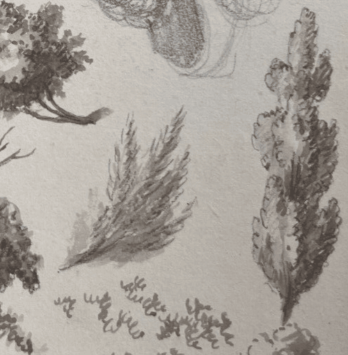 Antique Original Drawing Woman Portrait with Hat, Trees 19th century image 5