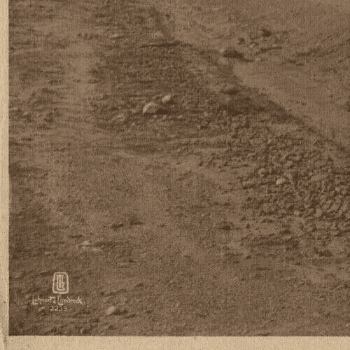 Vintage Photographs LEHNERT & LANDROCK - Heliogravure, Caravan to Oasis c.1910 image 4