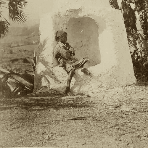 Photograph Paul Marie Famin Boy by a Zouaves Well of Bouzareah Albumen 1880 image 1