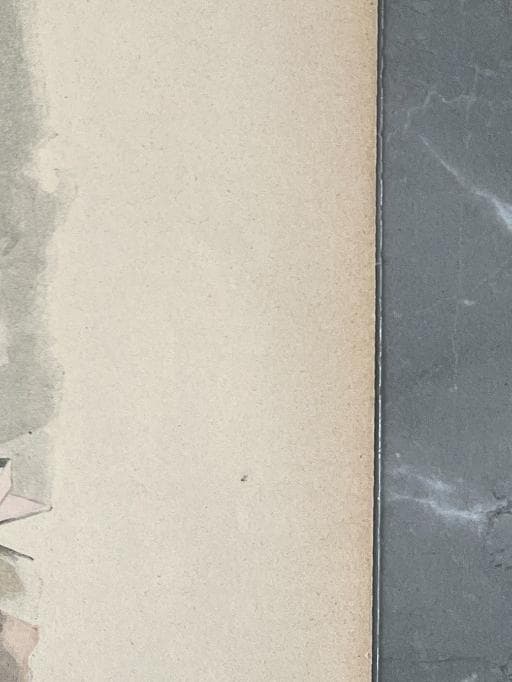 Vintage French Illustration - "Réponse au Porteur" - Elegant Antique Print image 7
