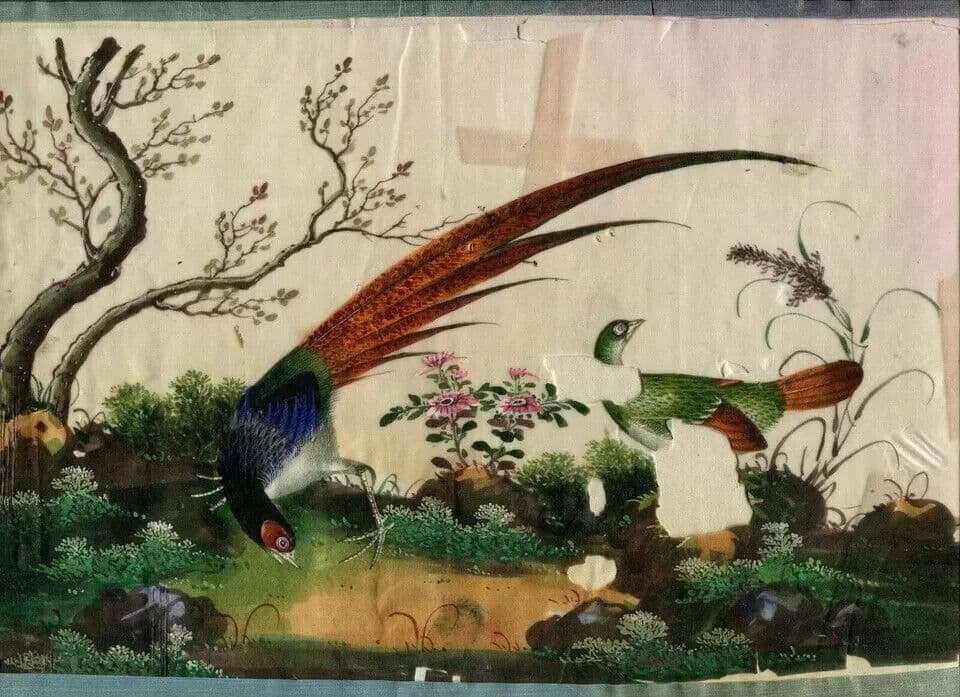 Antique Drawing 19th century Canton Qing Chinese Asia Peacock Asian Artwork image 6