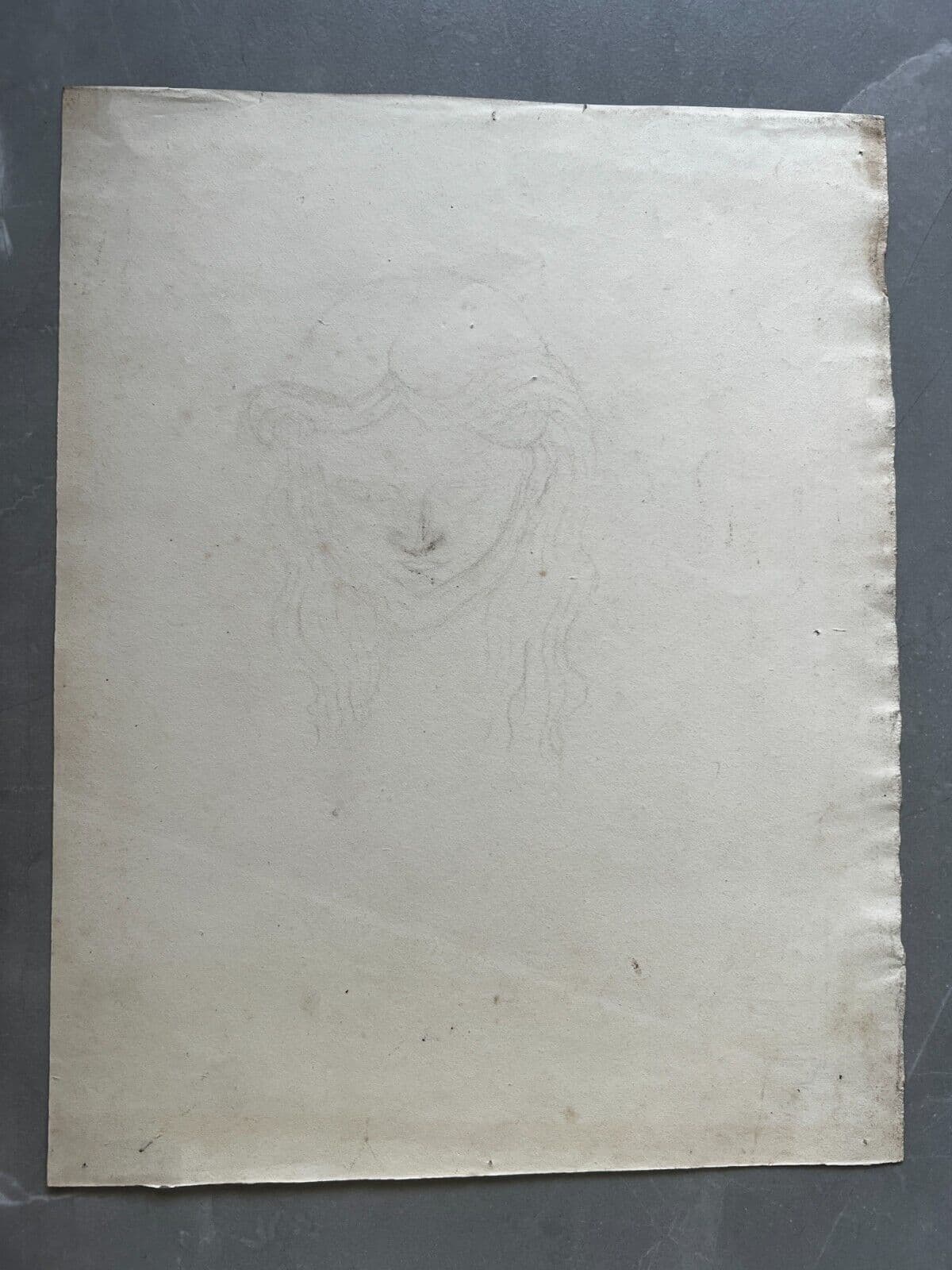 19th century Original Antique Pencil Drawing Woman Sitting Sketch Portrait image 6