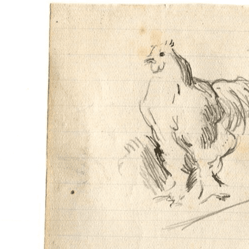 Antique Ink Drawing Original Hen, Animals, Farm image 4