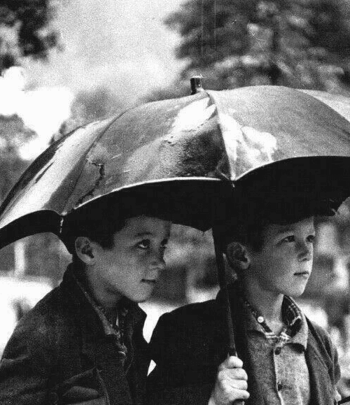 Vintage Photographs Gelatin Silver GEORGES Y. ANSQUER Rainy Day, c.1950 image 1