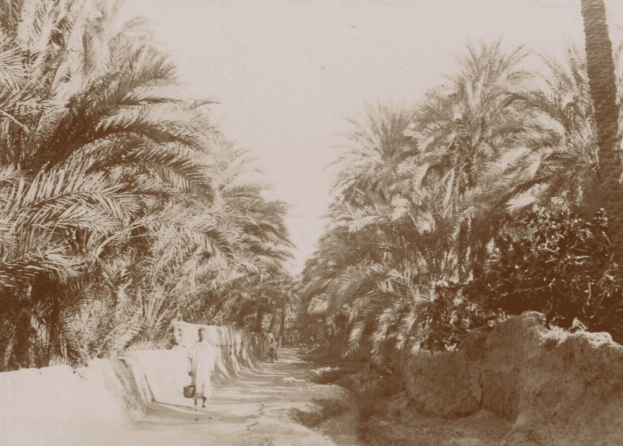 Vintage Photographs Orientalism, Africa, Algeria, Constantine Landscape image 1