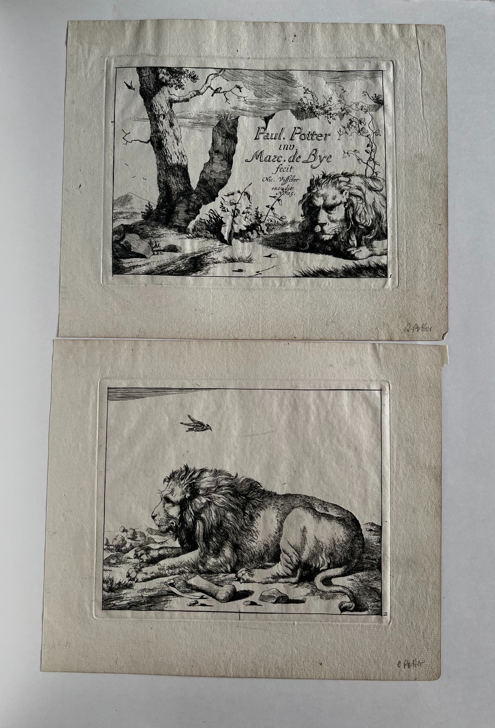 Marcus de Bye (1831-1688) Lions Engravings image 2