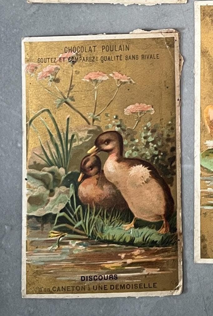 Set of 6 Vintage Chocolat Poulain Trade Cards - Charming French Ephemera image 5