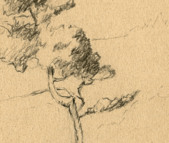 Vintage Pencil Original Drawing signed Tree Landscape Recipon 1945 image 3