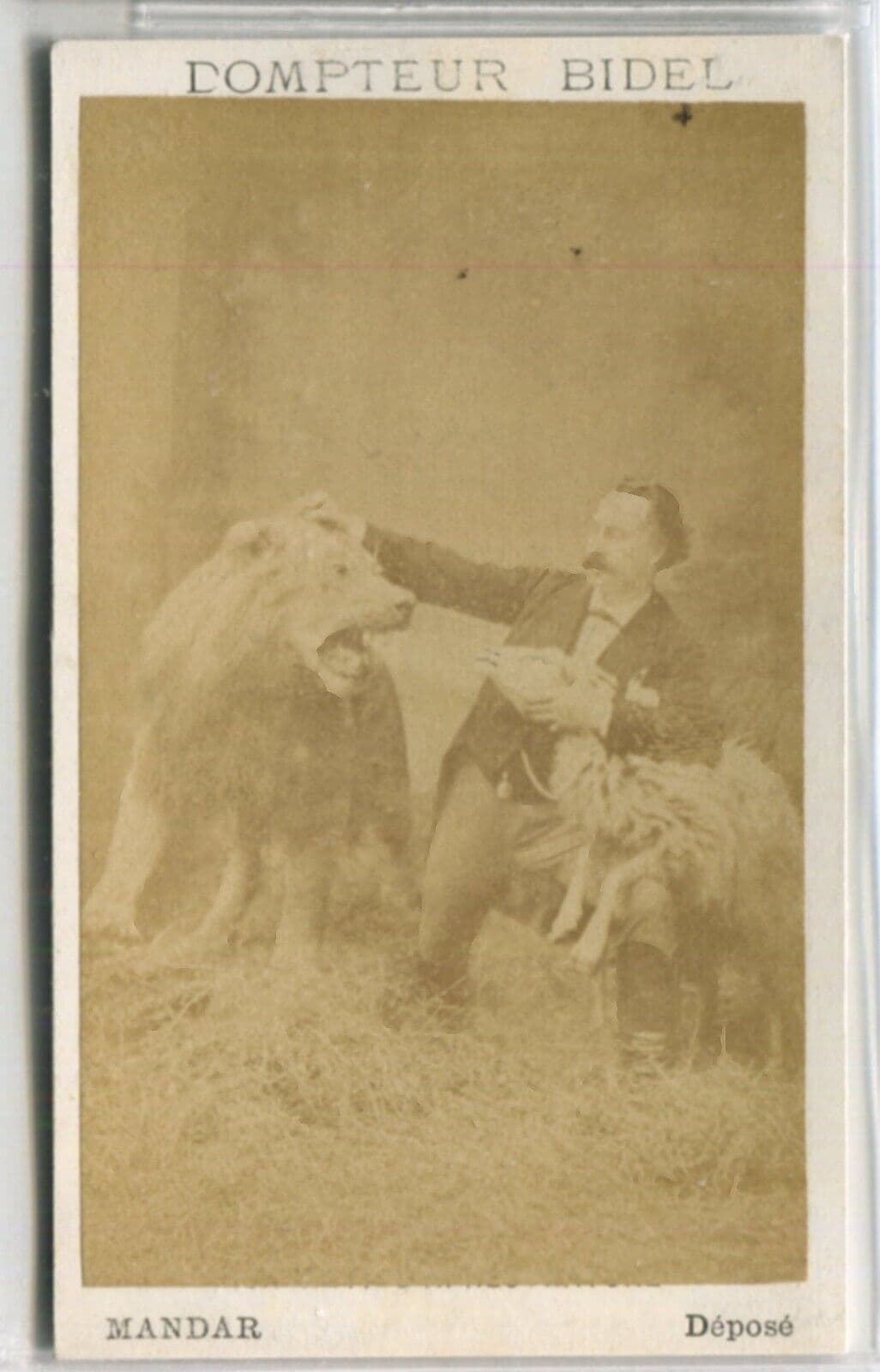 Antique CDV Original Photographs Dompteur Bidel Mandar image 2