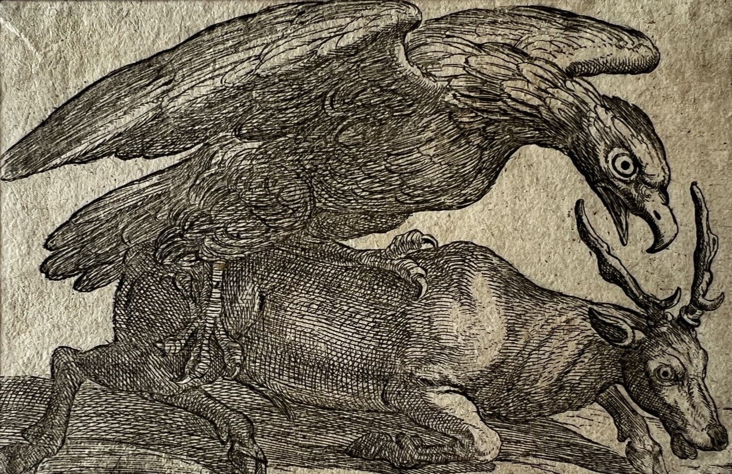 Antique Original Etching 17th century engraving, Eagle and Dear