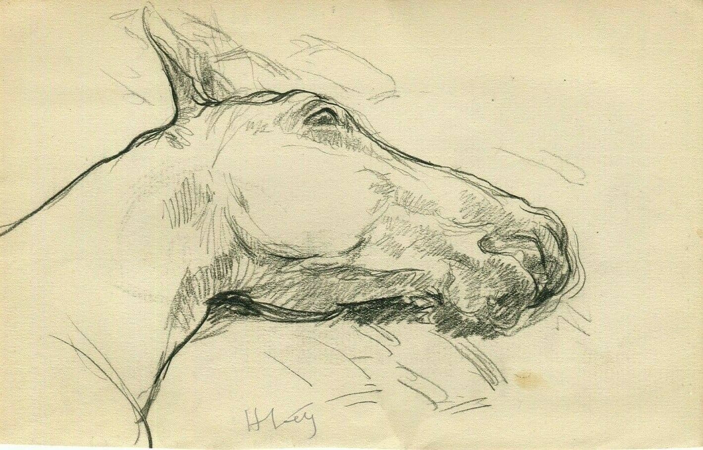 Drawing Horse signed Animal, Impressionist c. 1900