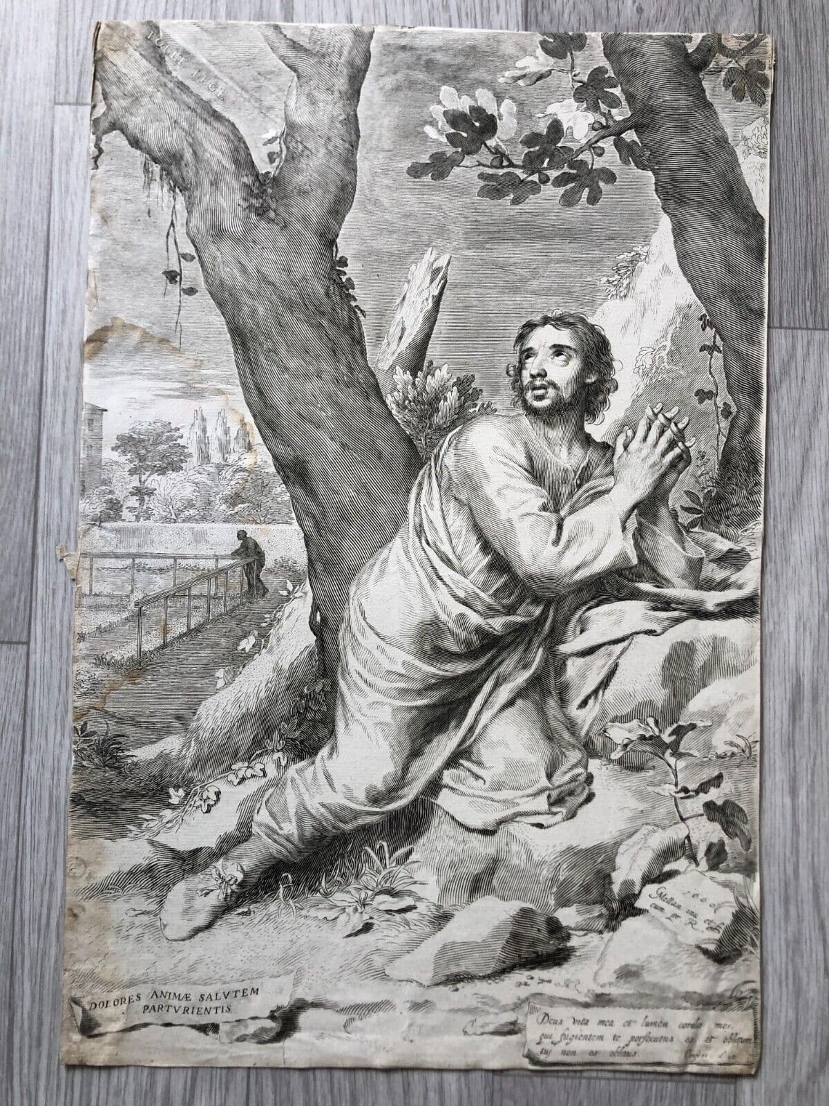 Claude MELLAN (1598-1688) Saint Augustin Etching image 3