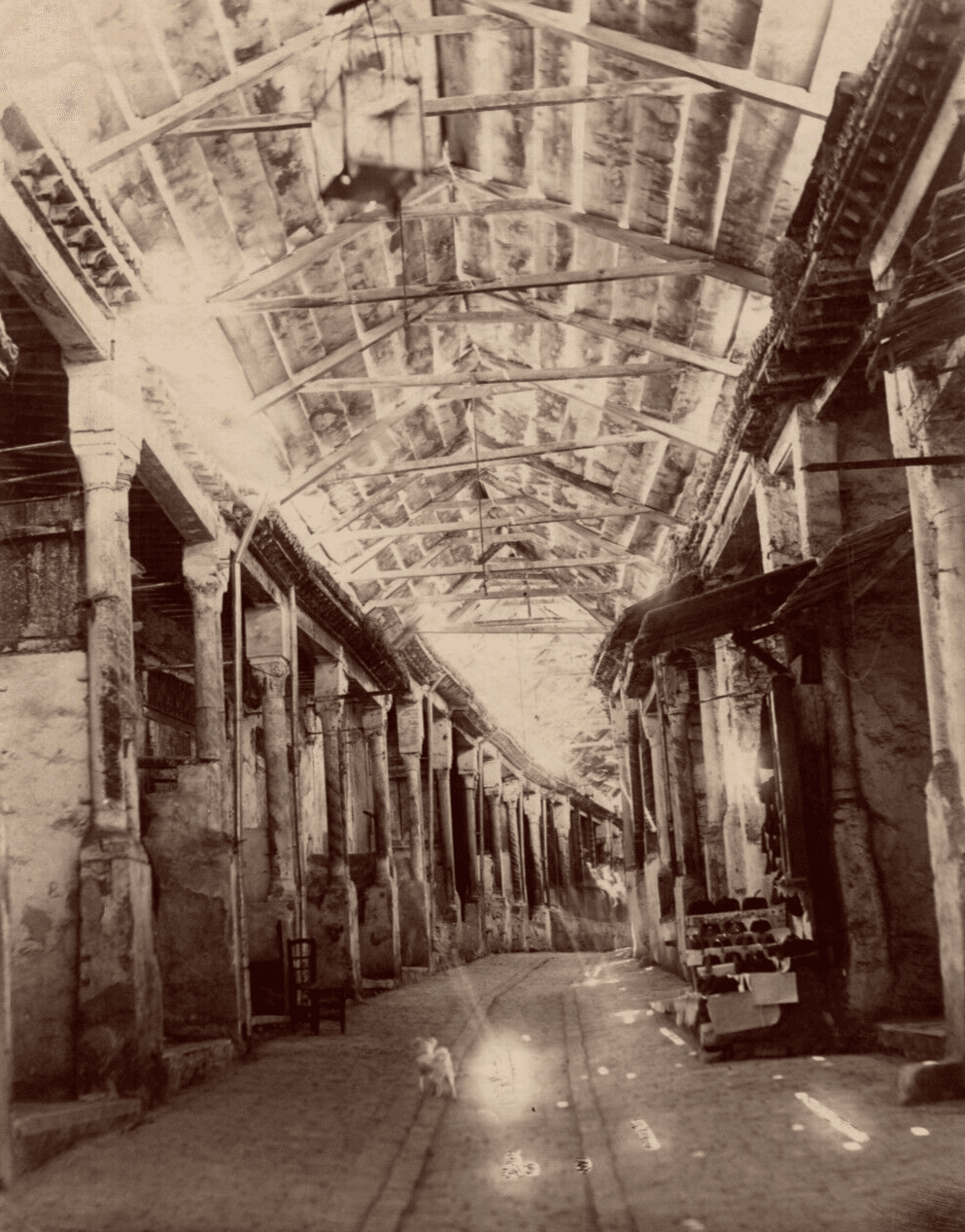 Vintage Photographs Africa, Orientalism, Tunis, Souk