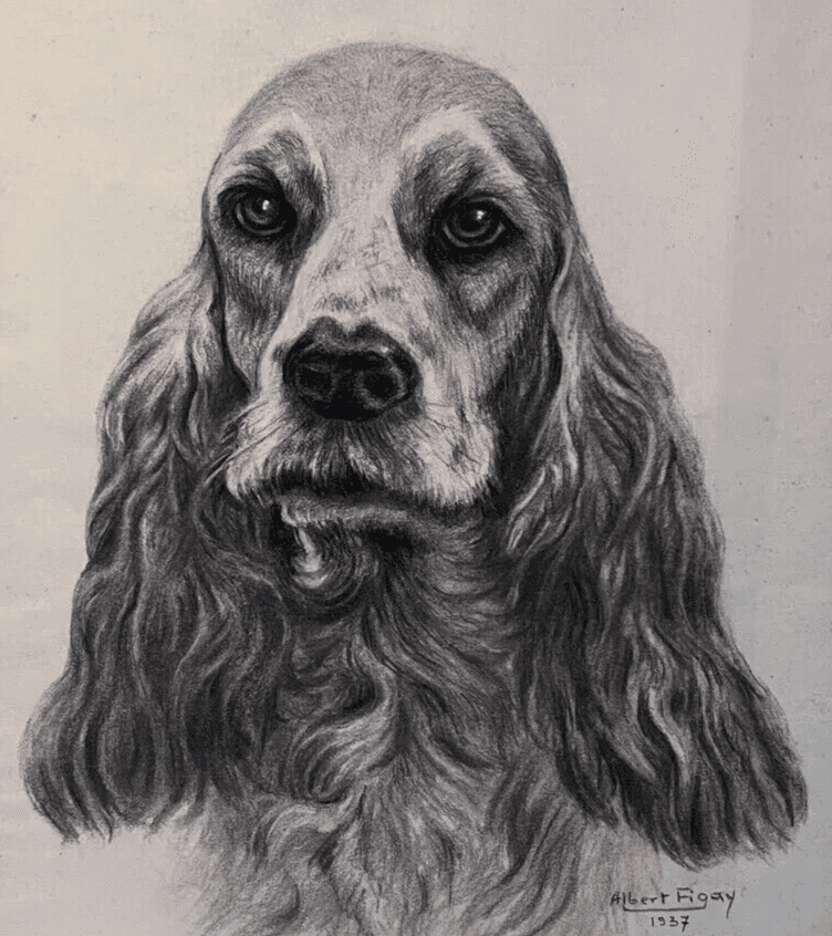Original Antique Charcoal Drawing Dog Portrait Albert FIGAY (1907-2004)