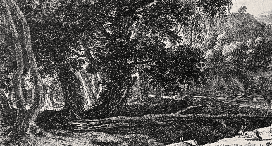 Antique Original Etching Venus Adonis Hunting, Herman Van Swanevelt (1603-1655) image 6