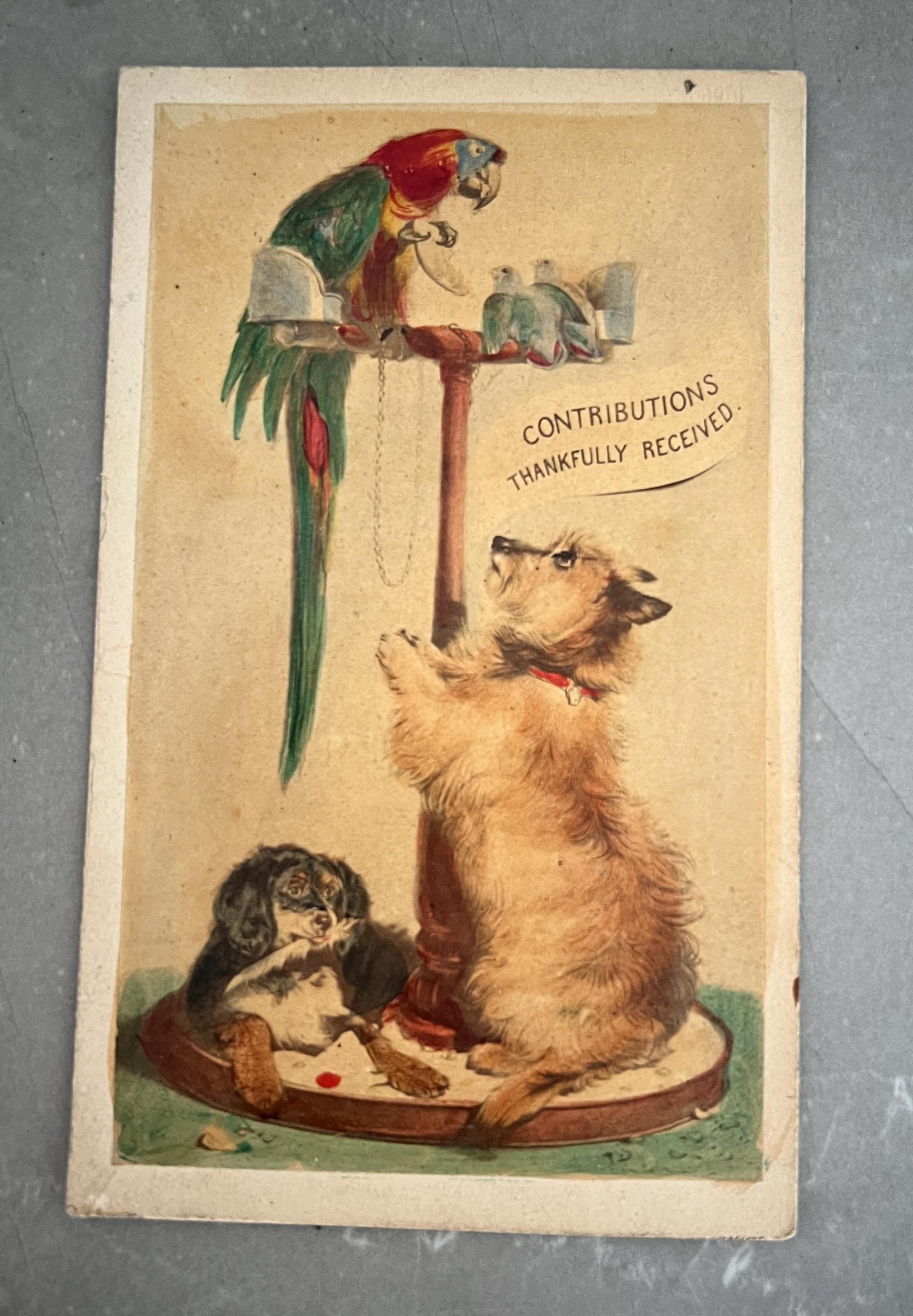Antique Illustrated CDV – “Contributions Thankfully Received” – 19th Century
