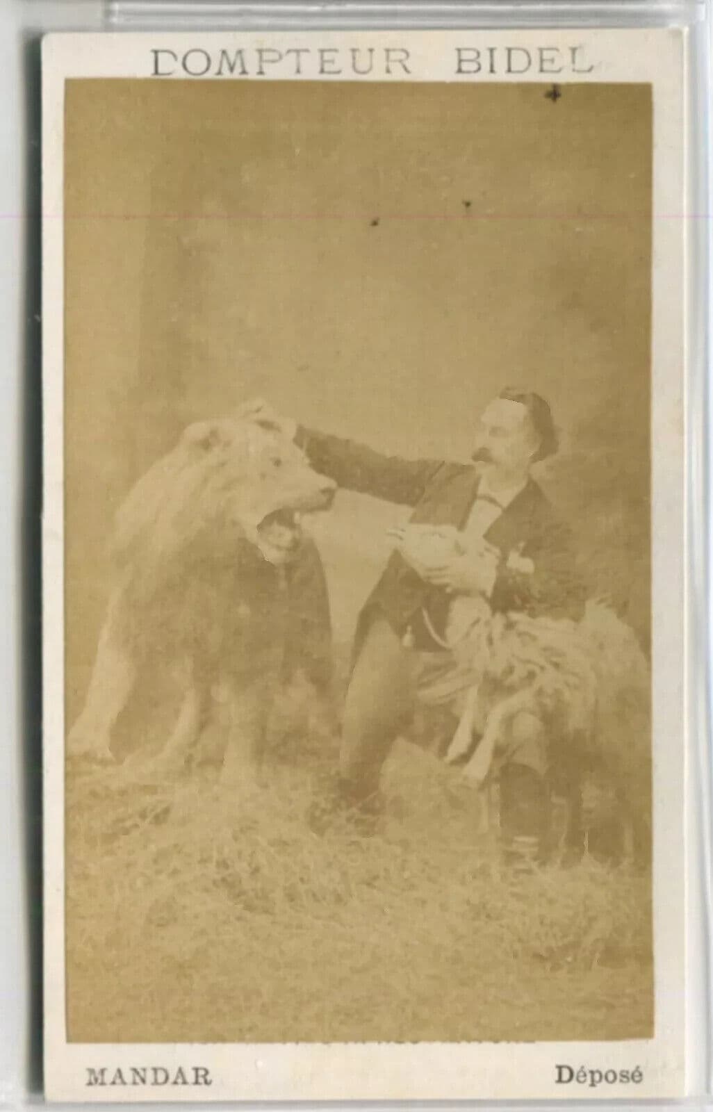 Antique CDV Original Photographs Dompteur Bidel Mandar image 5