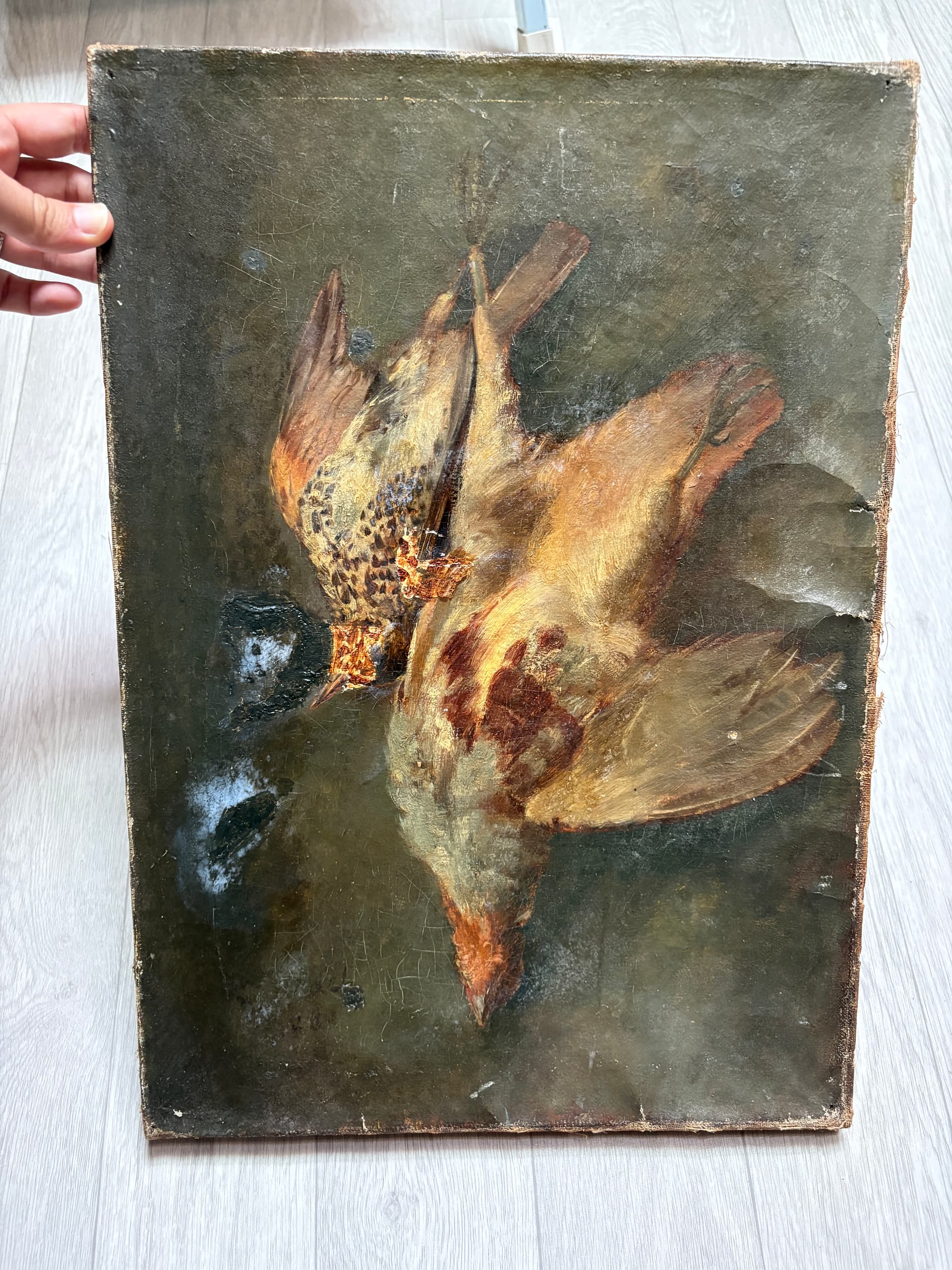 Painting Still Life Dead Bird, Hunting
