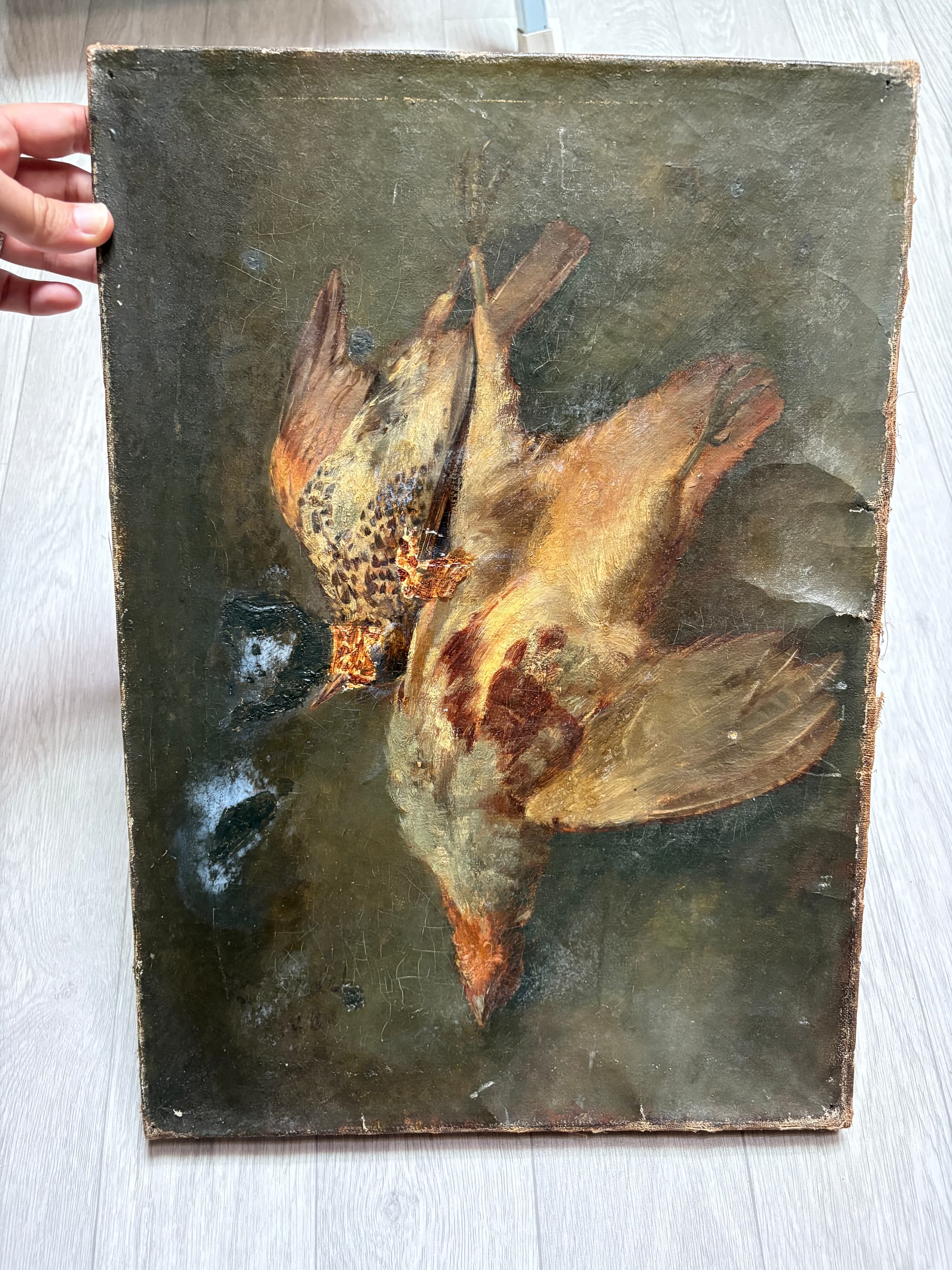 Painting Still Life Dead Bird, Hunting image 1