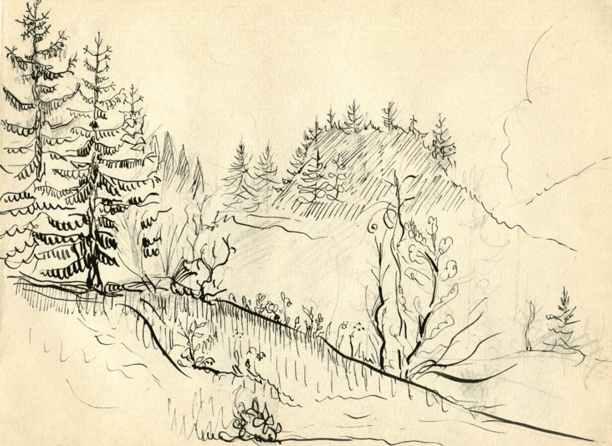 Vintage Ink Original Drawing Mountain, Trees, Landscape, Forest Artwork