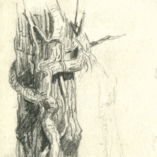 Vintage Pencil Drawing Landscape Oak surrounded by Stone image 2