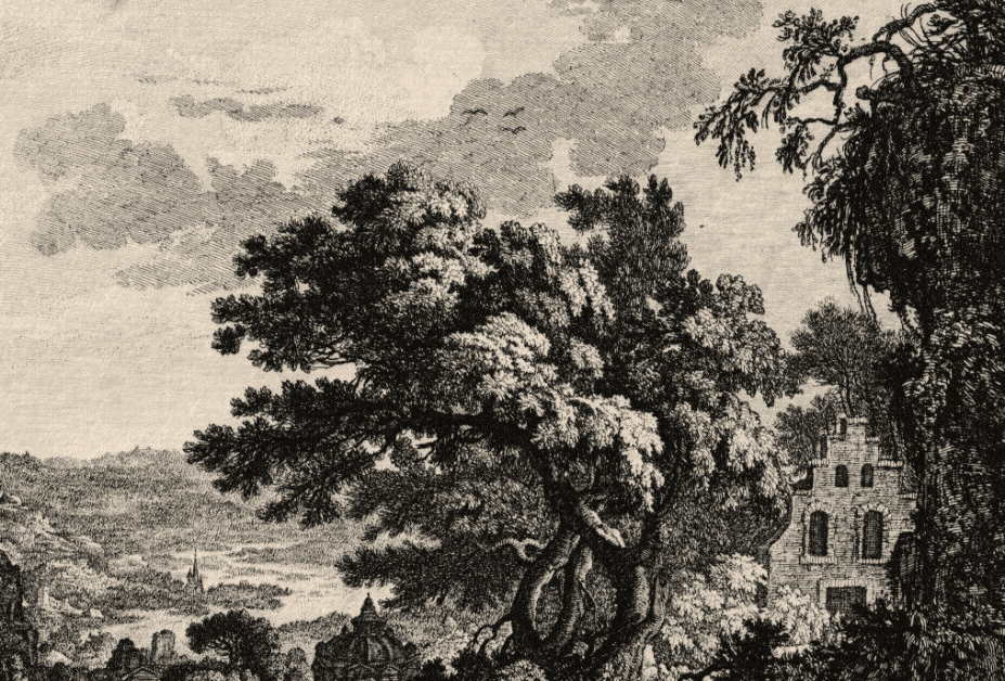 Antique Original Etching Landscape, Forest, Mountain, Trees, Cityview image 5