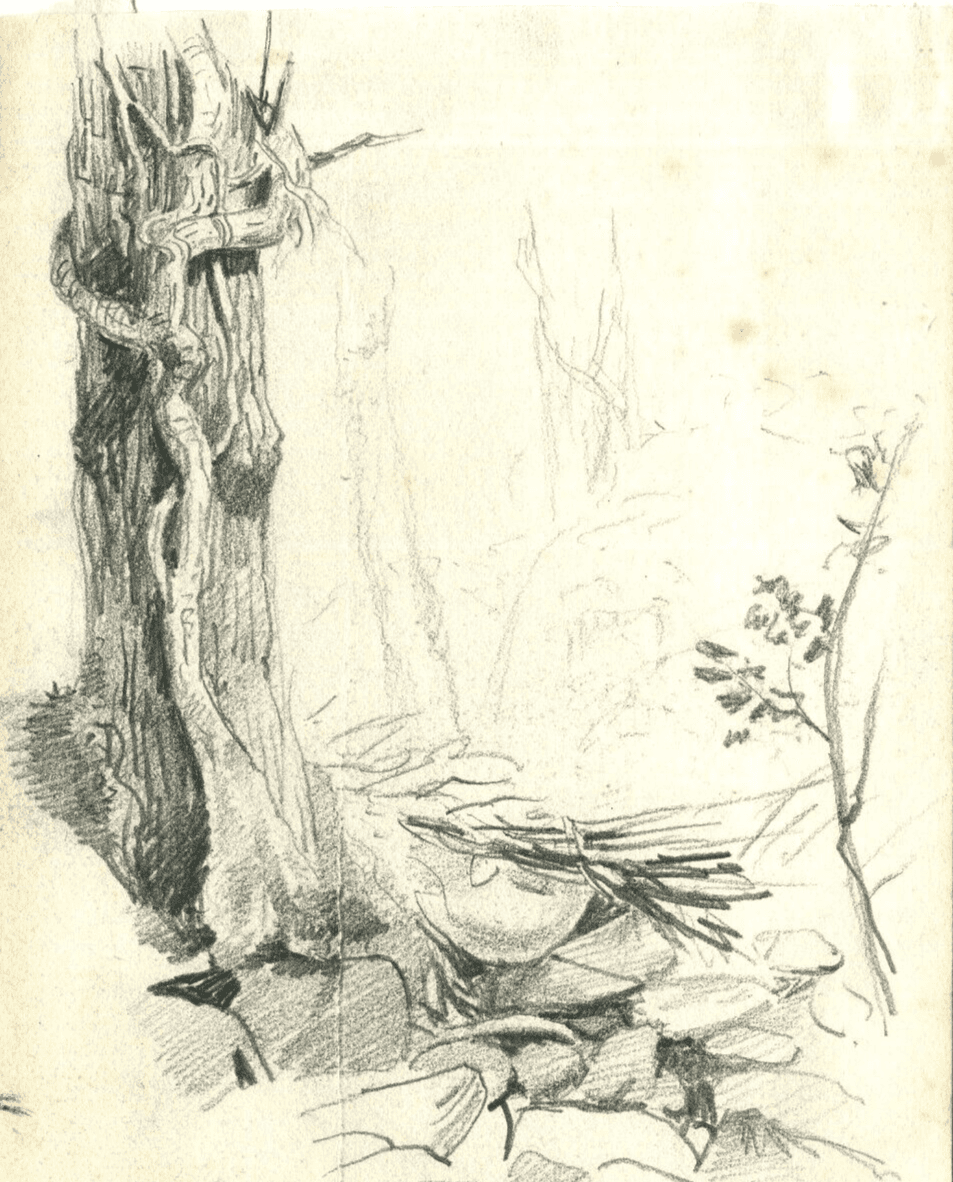 Vintage Pencil Drawing Landscape Oak surrounded by Stone image 1