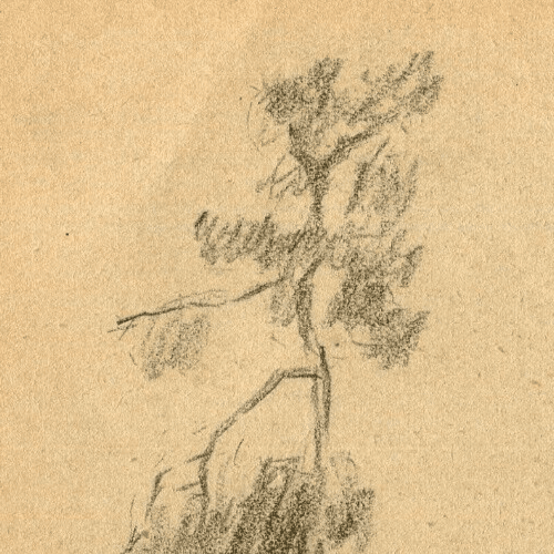 Vintage Pencil Original Drawing Tree, Forest, Landscape signed 1935 image 2