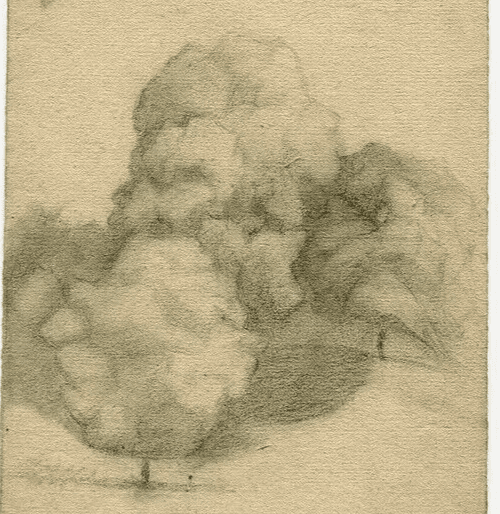 Antique Pencil Drawing 19th century Original Landscape with Trees image 1