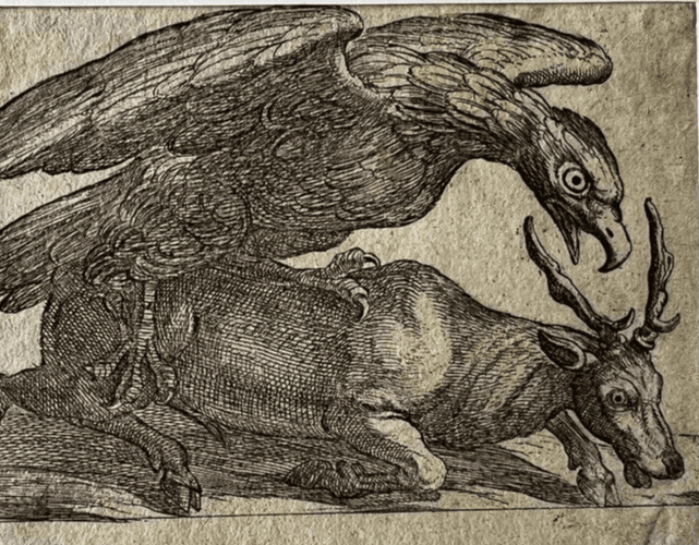 Antique Original Etching 17th century engraving, Eagle and Dear image 5