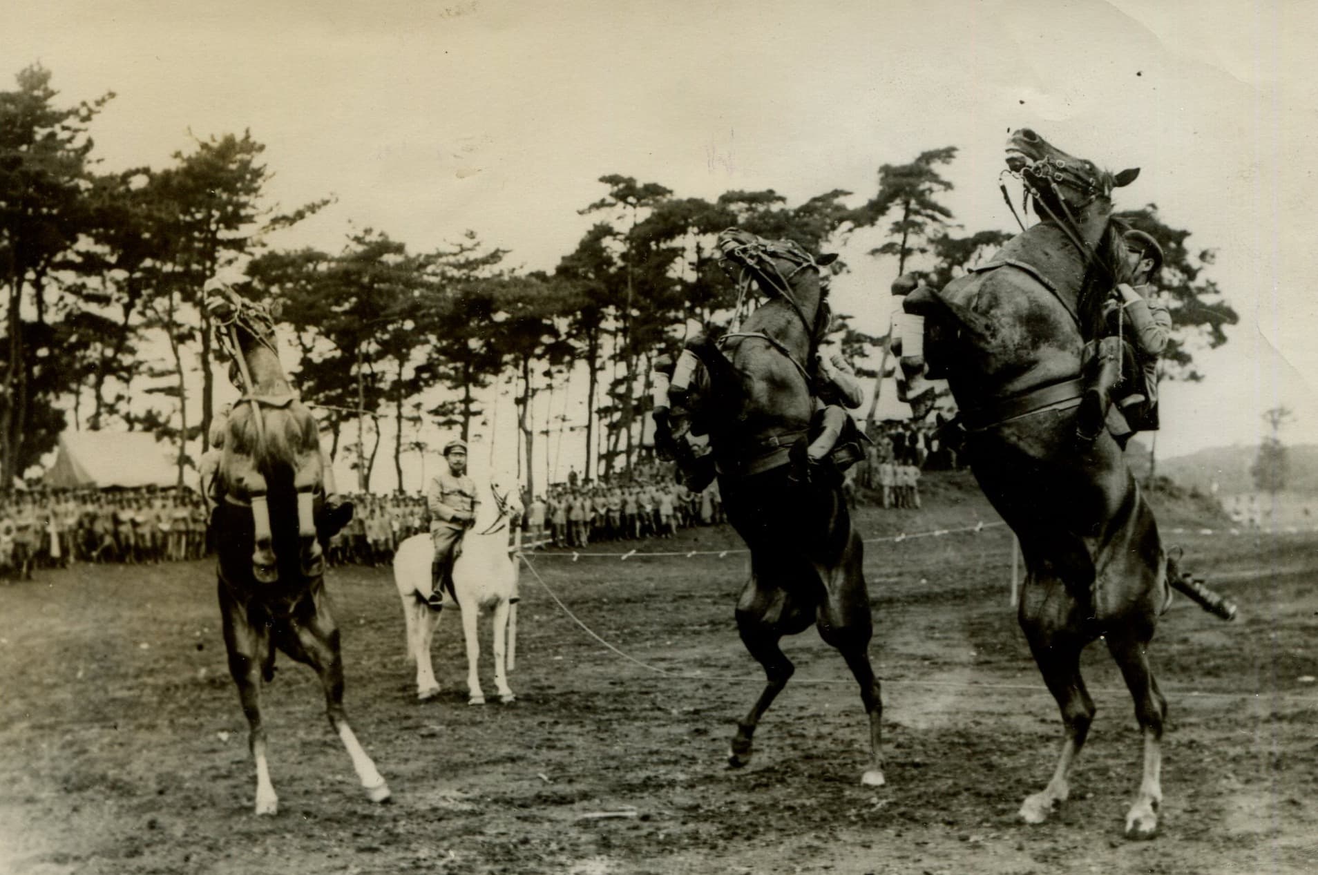 The Crown Prince Life in Japan 1920'