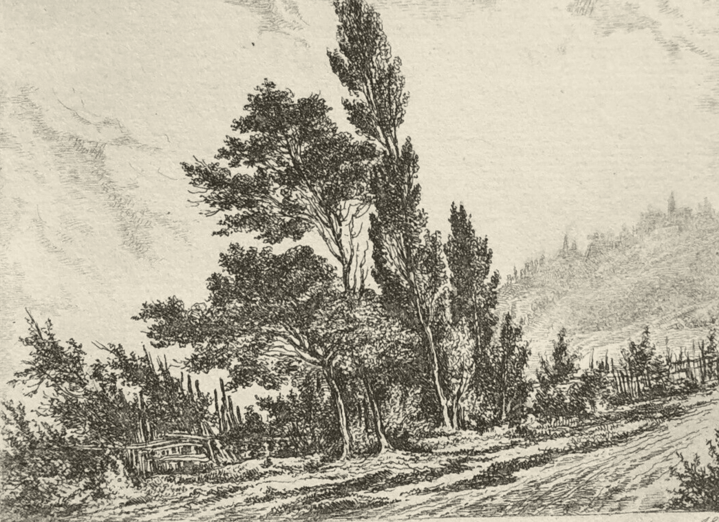 Antique Etching Original Landscape, Trees, Nature, Path 19th century 1852