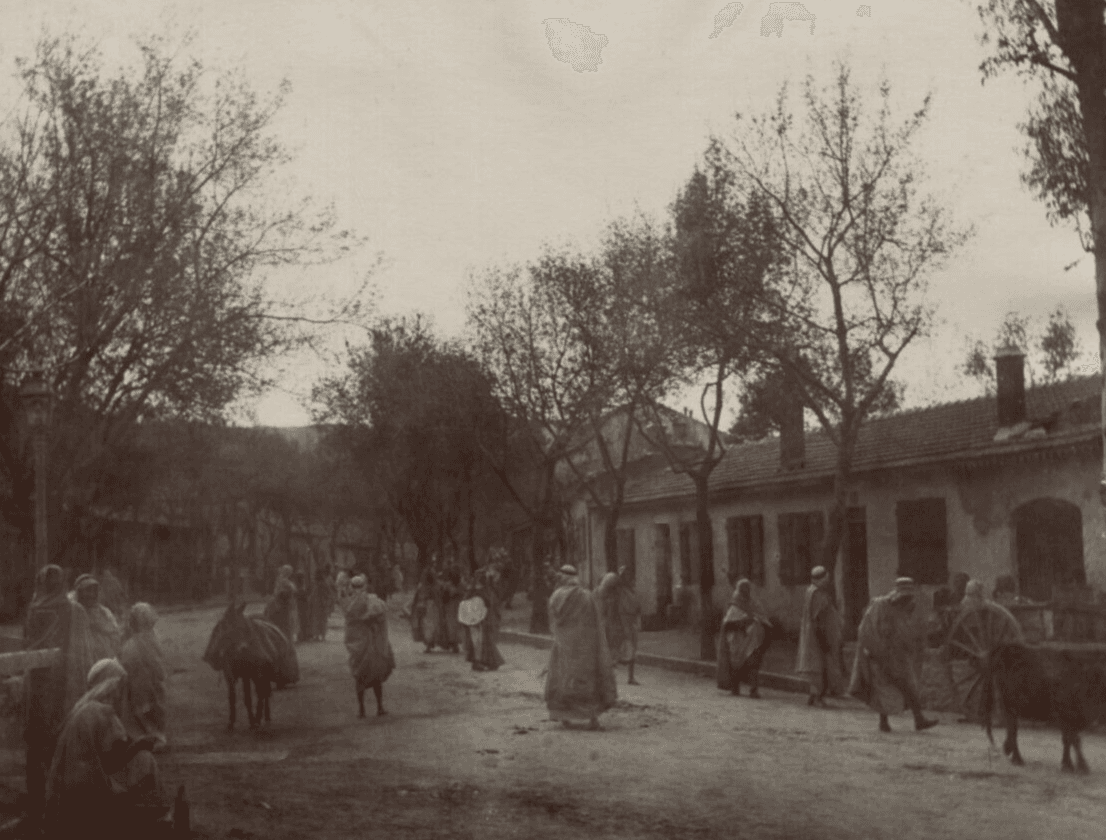 Vintage Photographs Orientalism Algeria, People, Cityview