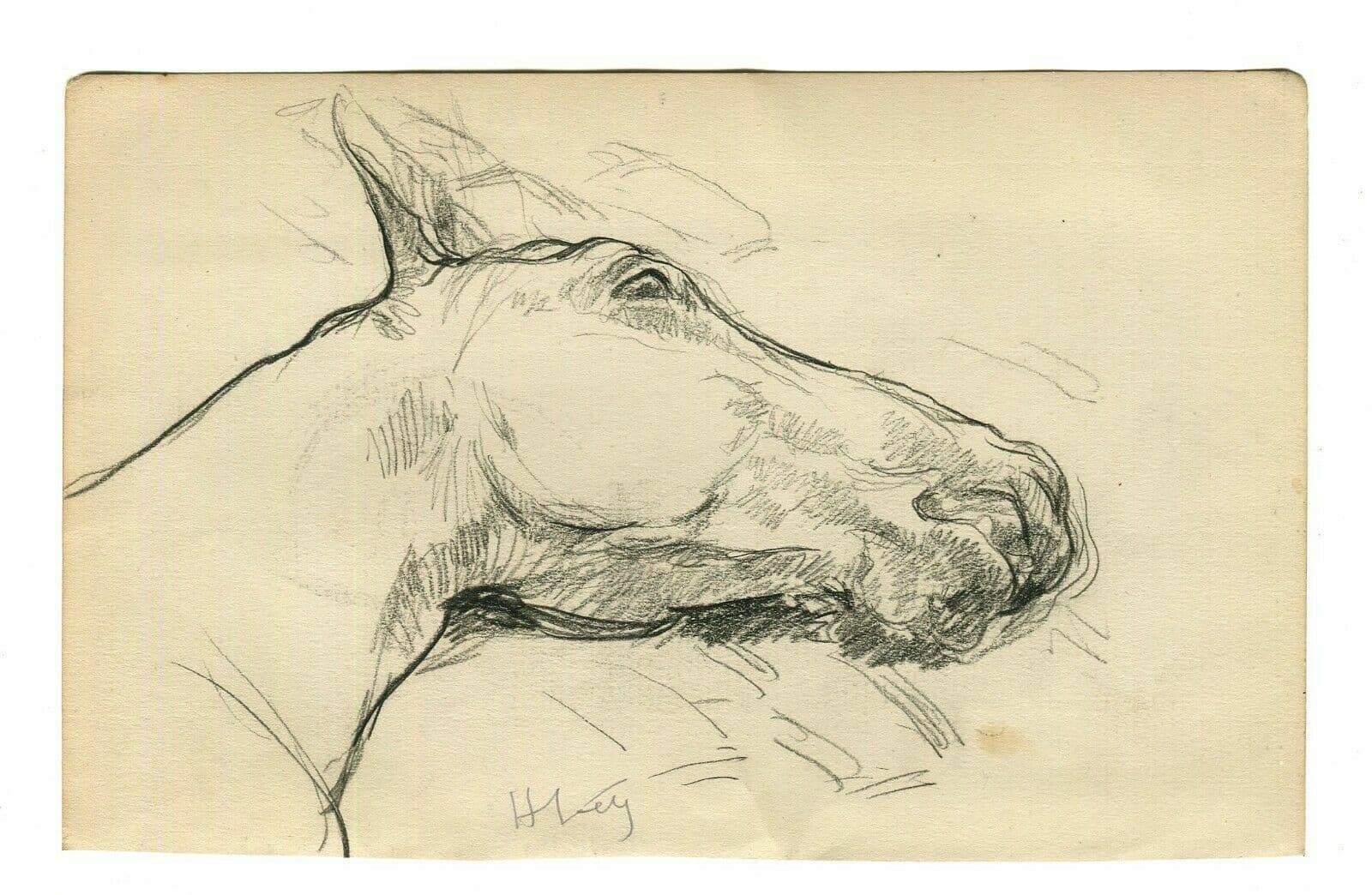 Drawing Horse signed Animal, Impressionist c. 1900 image 2