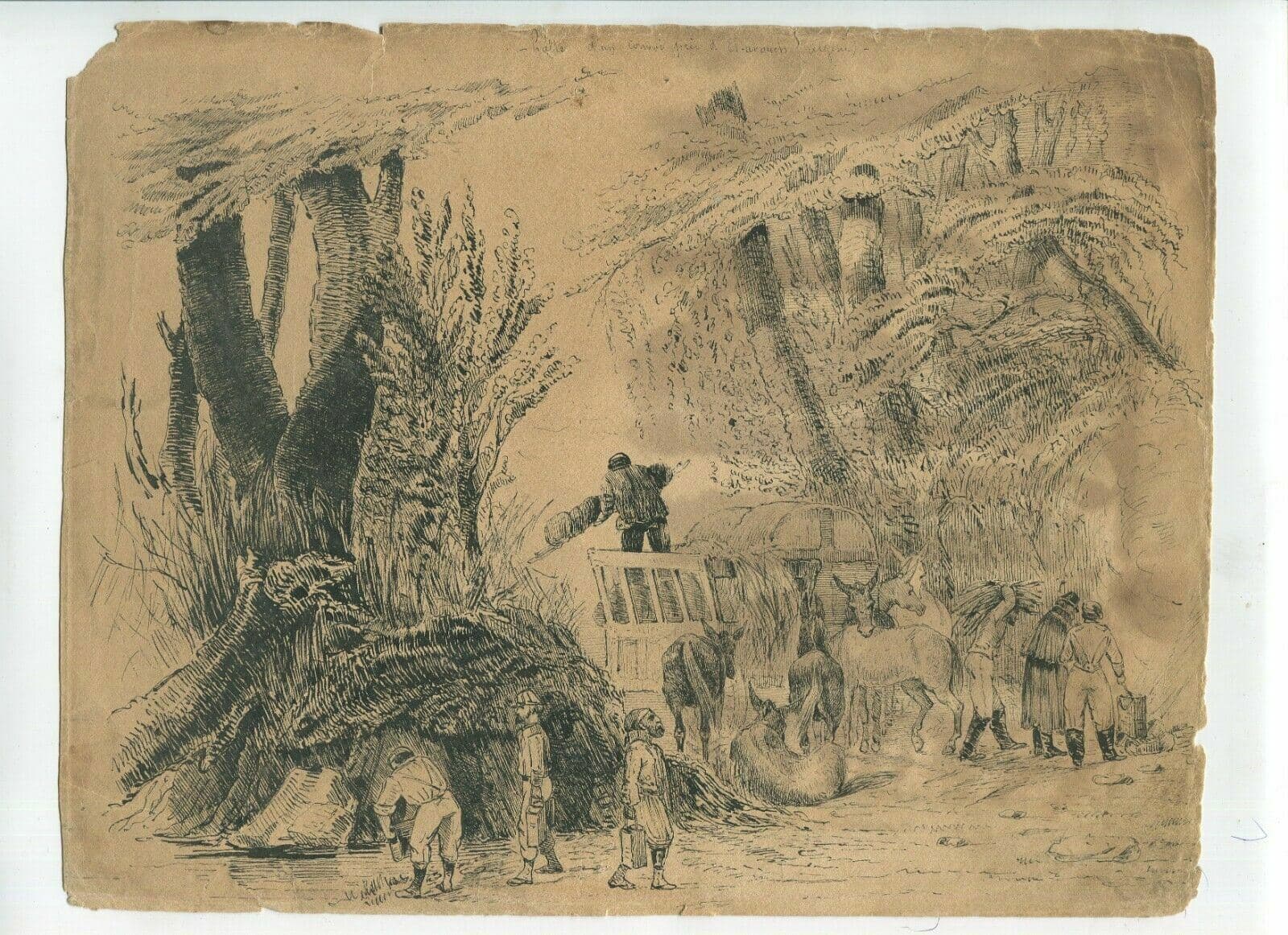 Drawing Animal, El-Arrouch, Algeria image 2