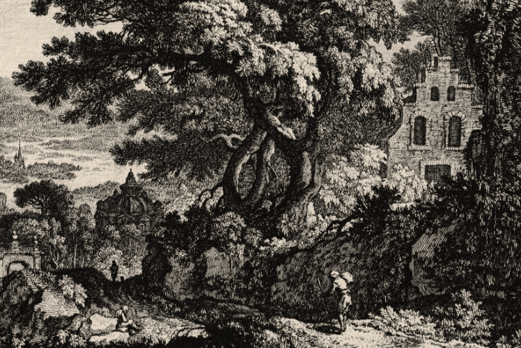 Antique Original Etching Landscape, Forest, Mountain, Trees, Cityview image 4