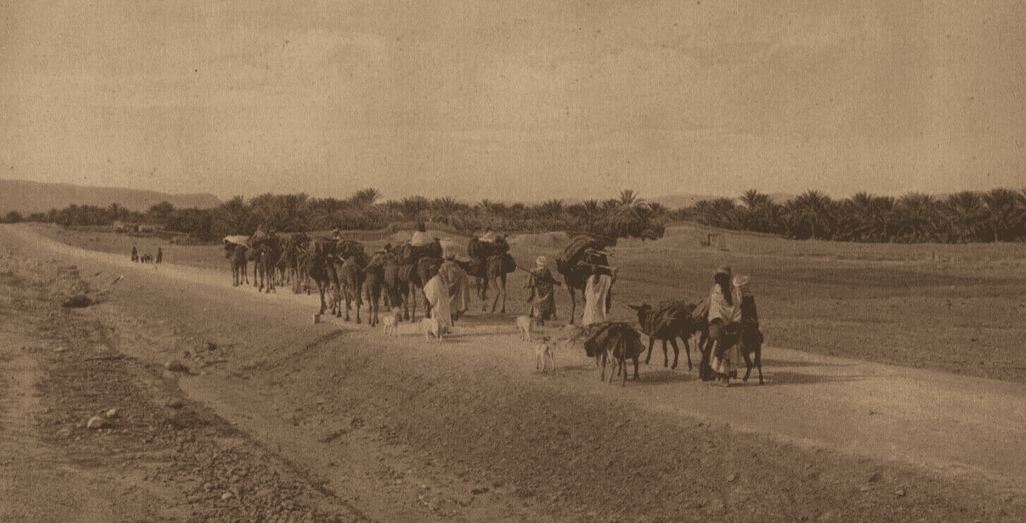 Vintage Photographs LEHNERT & LANDROCK - Heliogravure, Caravan to Oasis c.1910